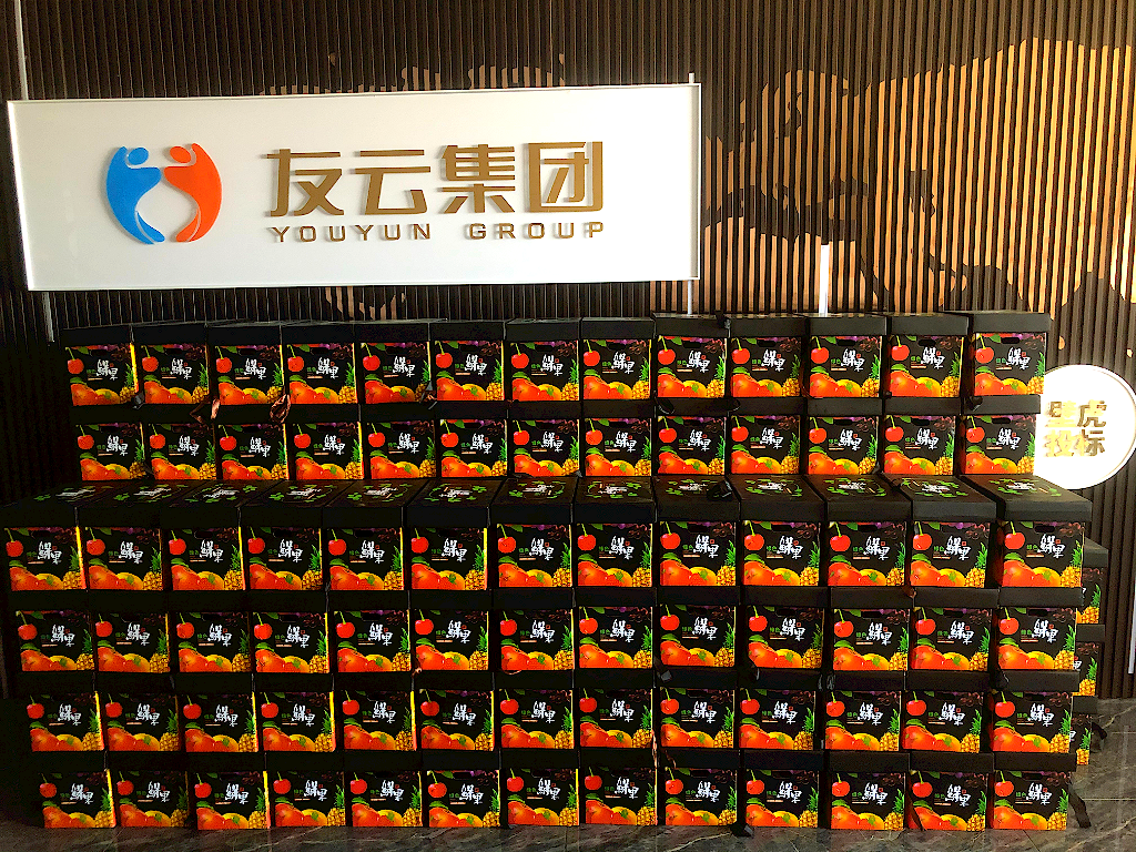 中朵云建設 中朵云建設