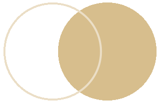 中朵云建設(shè) 中朵云建設(shè)